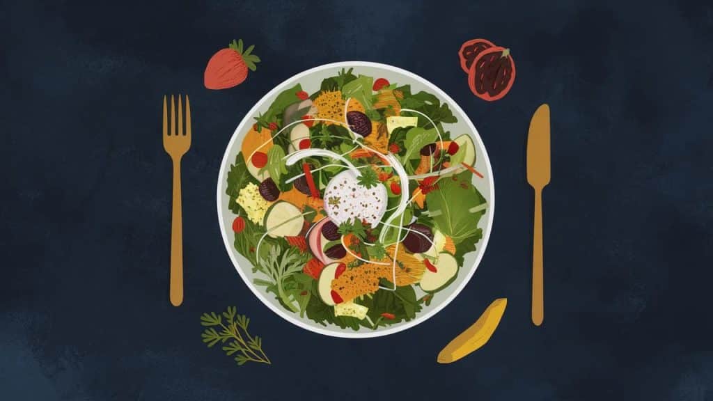 Vitaliserfr 20 Salades Repas Faibles en Glucides pour un Dîner Équilibré