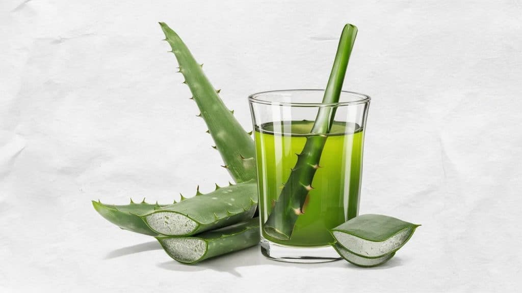 Vitaliserfr Les Bienfaits de lAloe Vera Un Elixir pour Votre Santé