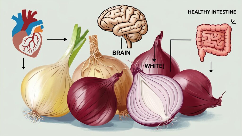 Vitaliserfr Oignon Comment Choisir et Cuisiner ce Légume Santé