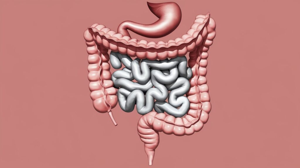 Vitaliserfr La Mélatonine Peut elle Aggraver les Symptômes des Maladies Inflammatoires de lIntestin